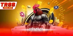 Luật đá gà